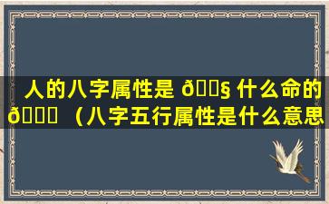 人的八字属性是 🐧 什么命的 🍁 （八字五行属性是什么意思）